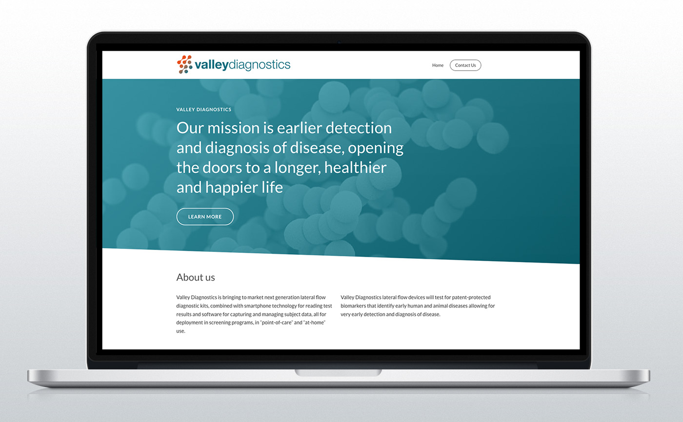 Valley Diagnostics home page